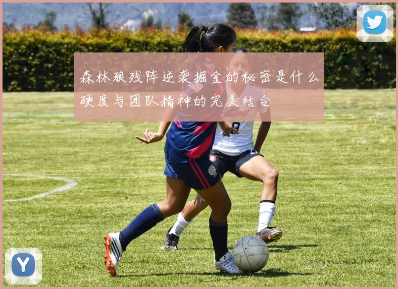 森林狼残阵逆袭掘金的秘密是什么硬度与团队精神的完美结合